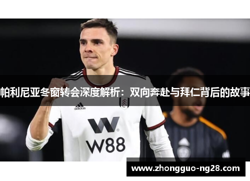 帕利尼亚冬窗转会深度解析：双向奔赴与拜仁背后的故事