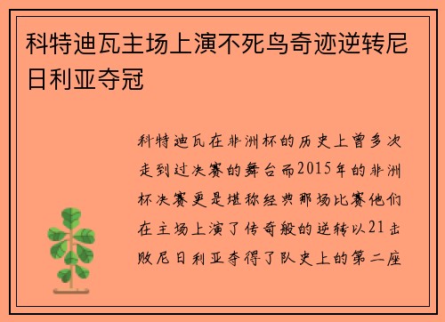 科特迪瓦主场上演不死鸟奇迹逆转尼日利亚夺冠